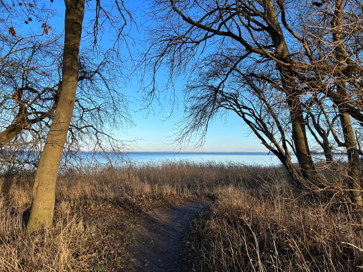 Reet Und Meer Beckerwitz Hohenkirchen  Екстериор снимка