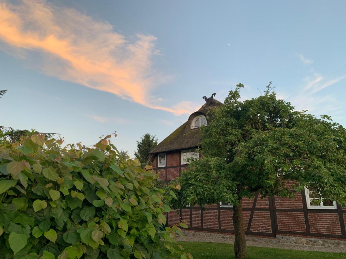 Reet Und Meer Beckerwitz Hohenkirchen  Екстериор снимка